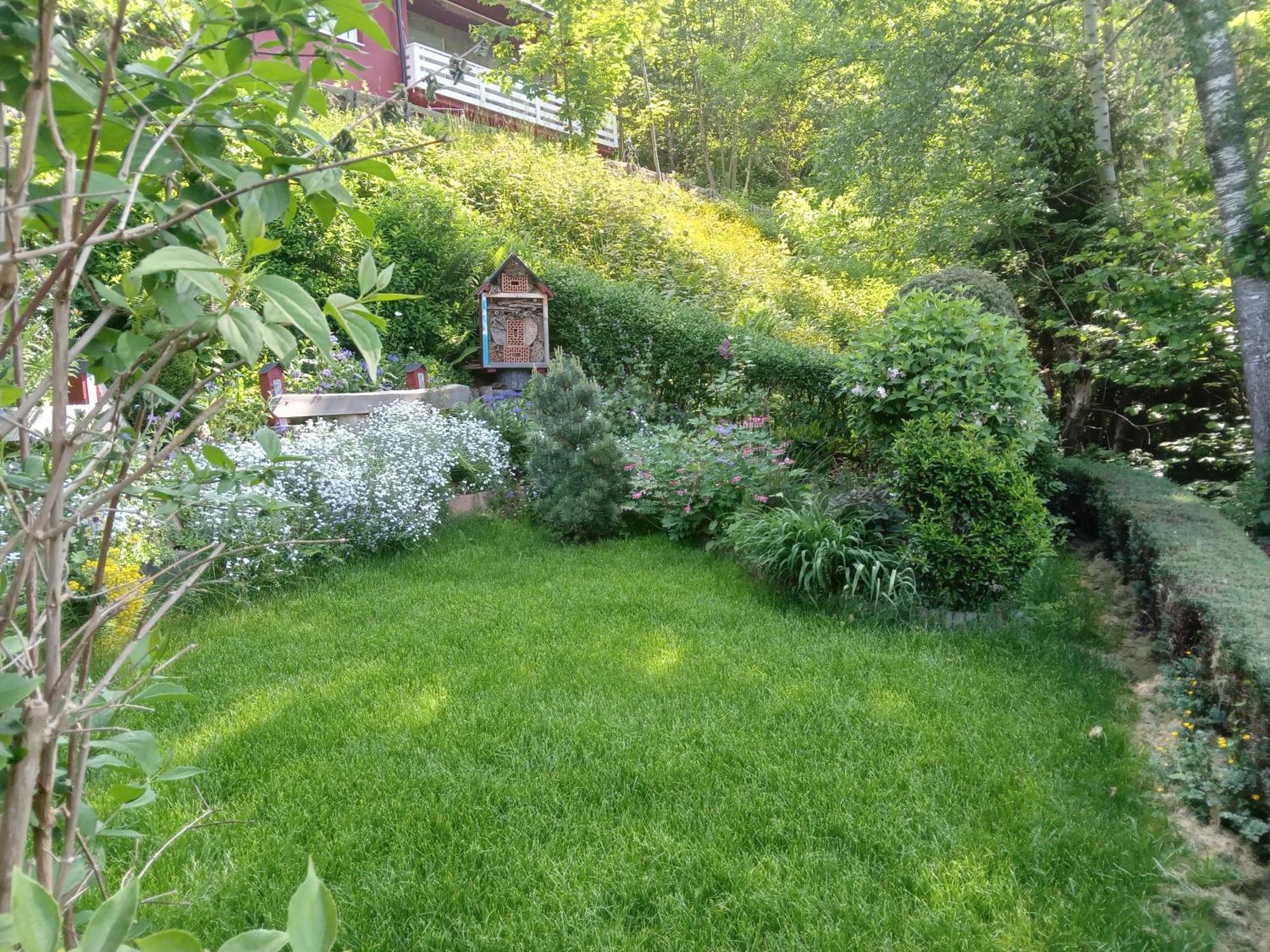 Haus Wiesental Kleines Wiesental Exterior foto