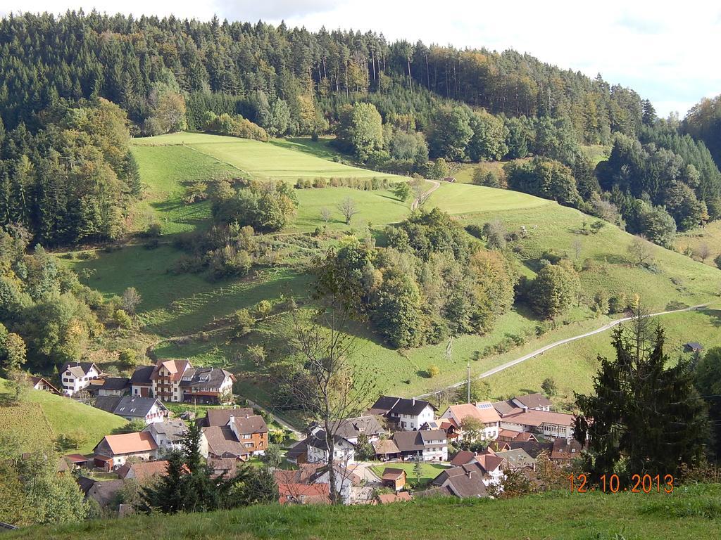 Haus Wiesental Kleines Wiesental Exterior foto