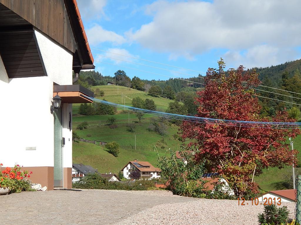 Ferienwohnung Haus Wiesental Kleines Wiesental Exterior foto