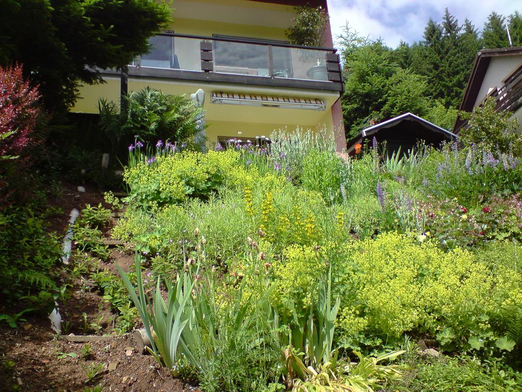 Ferienwohnung Haus Wiesental Kleines Wiesental Exterior foto