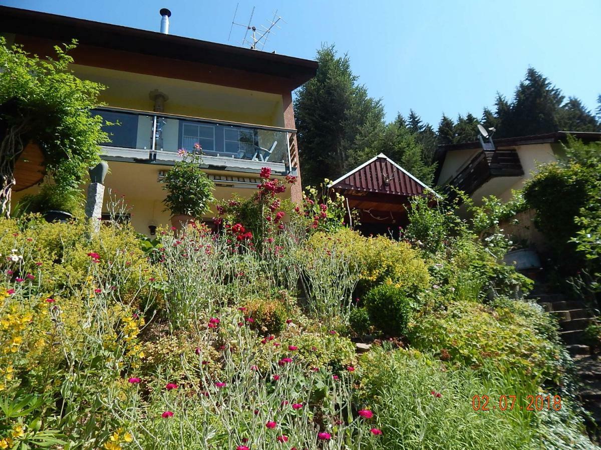 Haus Wiesental Kleines Wiesental Exterior foto