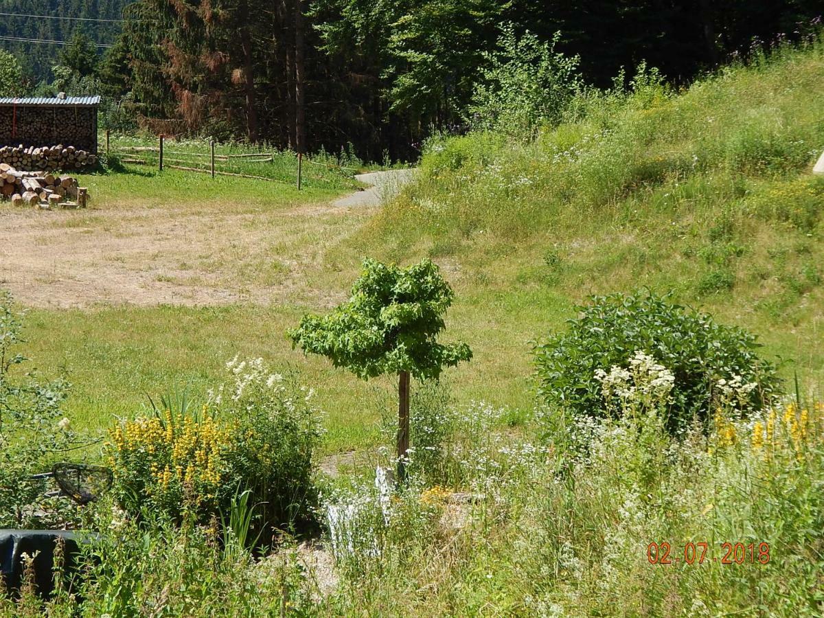 Ferienwohnung Haus Wiesental Kleines Wiesental Exterior foto