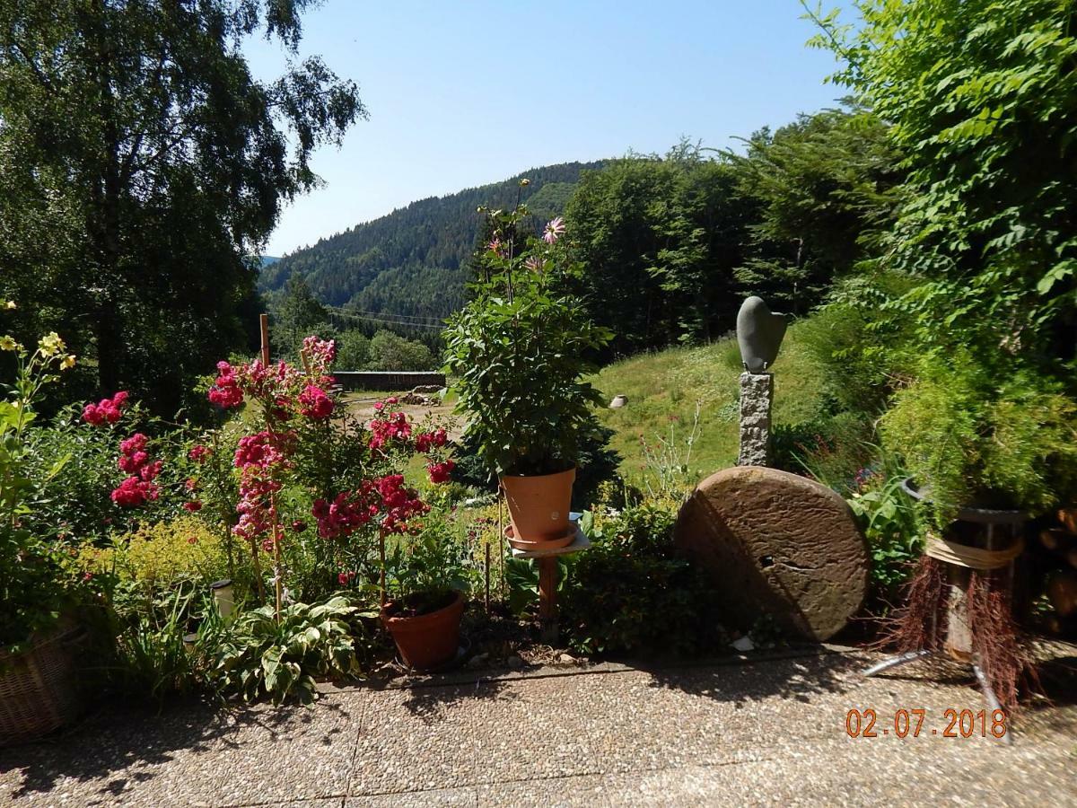 Ferienwohnung Haus Wiesental Kleines Wiesental Exterior foto