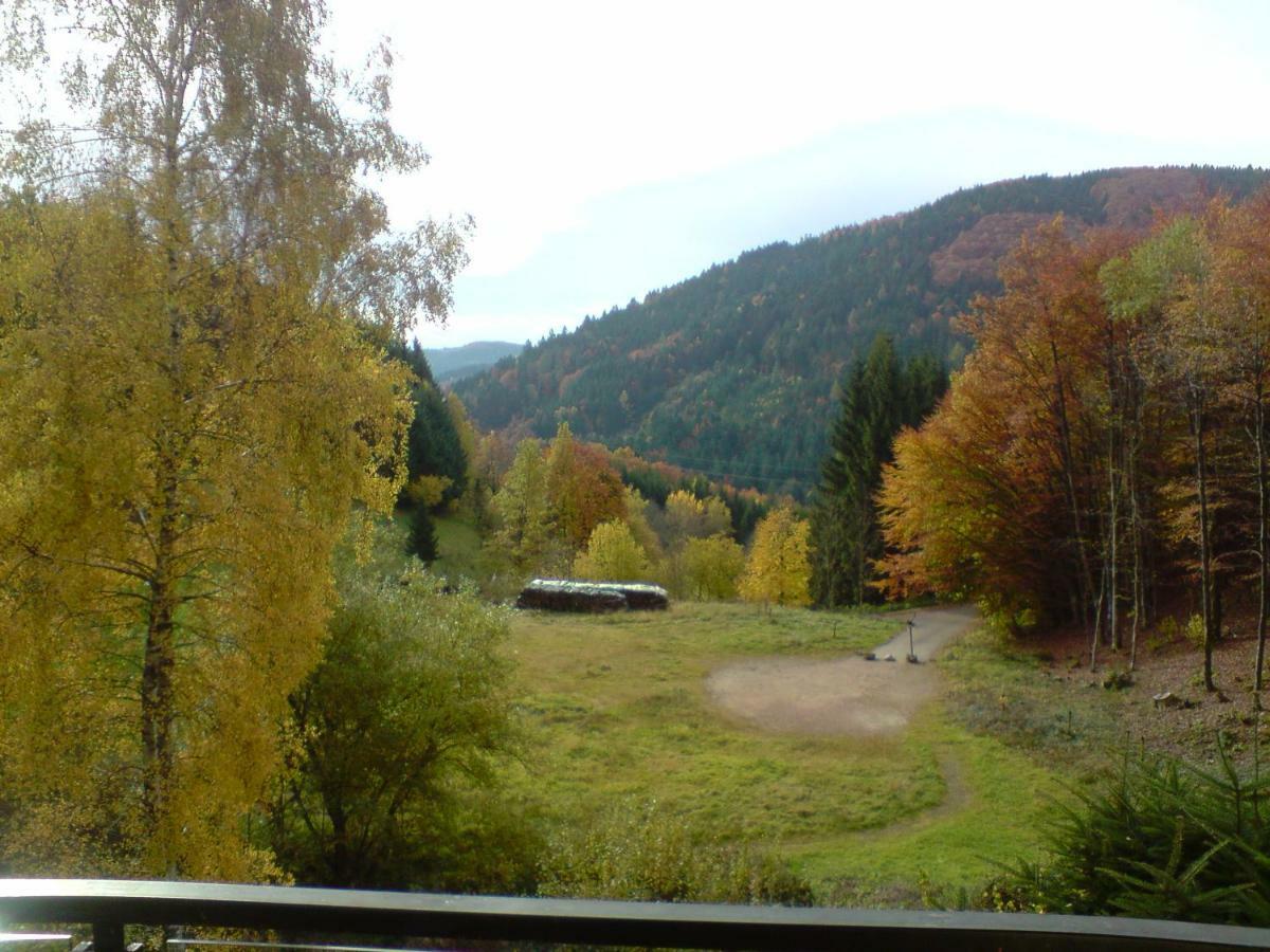 Ferienwohnung Haus Wiesental Kleines Wiesental Exterior foto