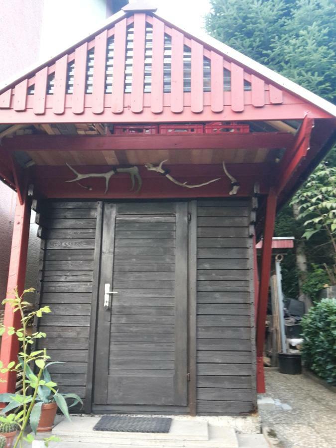Haus Wiesental Kleines Wiesental Exterior foto